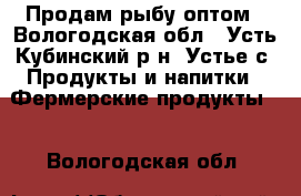 Продам рыбу оптом - Вологодская обл., Усть-Кубинский р-н, Устье с. Продукты и напитки » Фермерские продукты   . Вологодская обл.